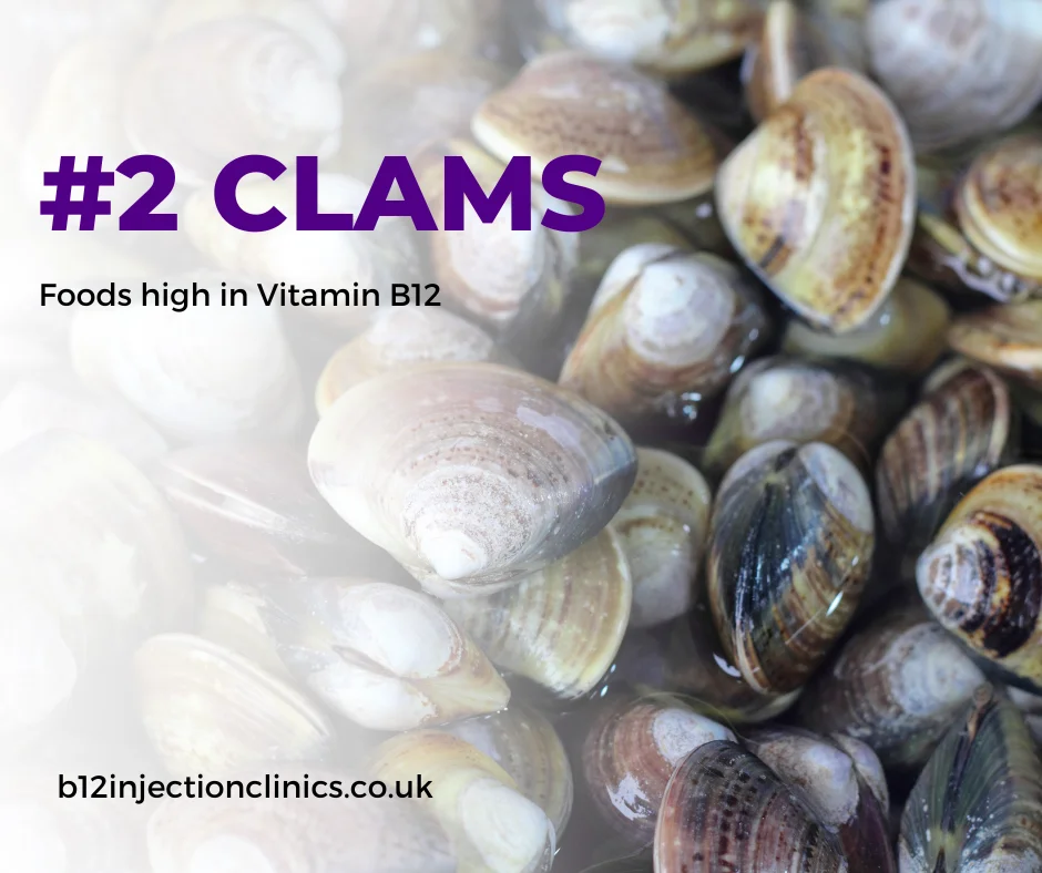 Foods high in vitamin b12 - clams